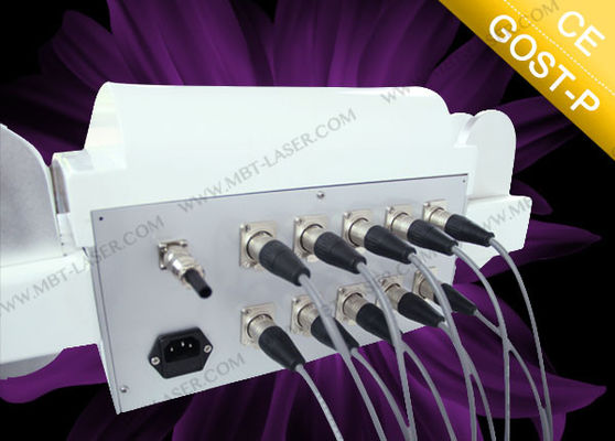 Máquina profissional da casa do lipo do laser para o burning/corpo da gordura que dá forma ao equipamento 110V 220V