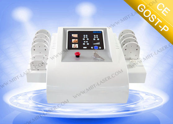 10 かいとの脂肪質の減少、多言語のための機械を細くする Lipo 小型レーザー